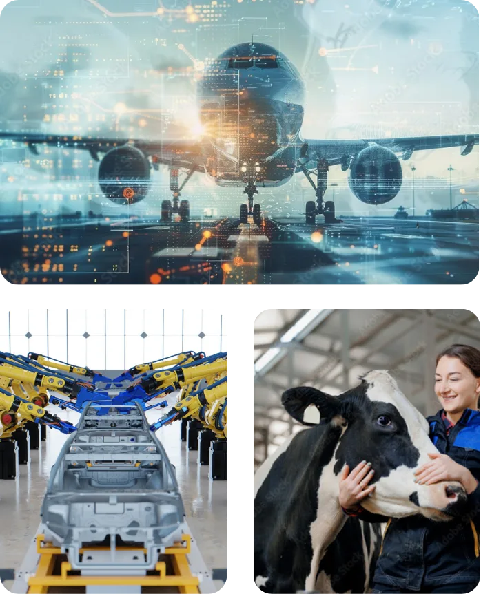 sectores industriales como el automotriz aeroespacial textil y agricola